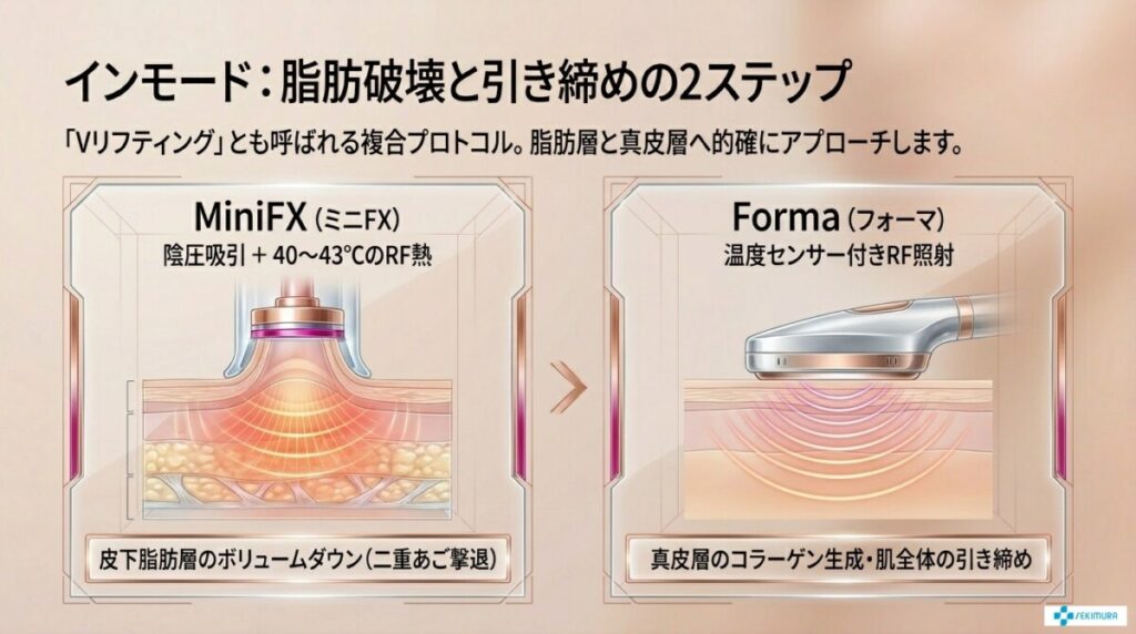 インモードの脂肪破壊と引き締めの2ステップであるMiniFXとFormaの役割について解説した図解。