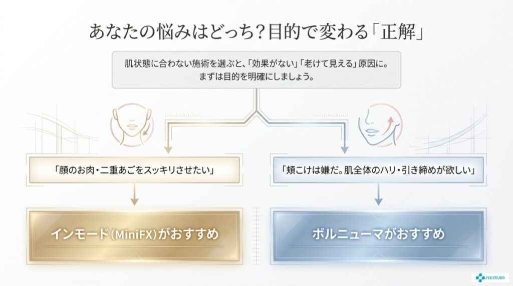 導入文