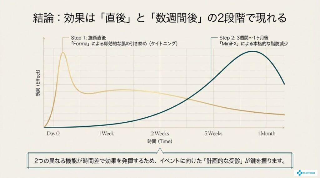 結論！インモードVリフトの効果はいつから？イベントから逆算するスケジュール