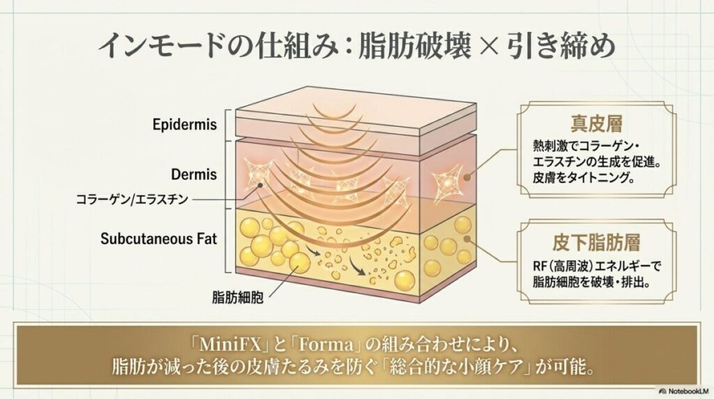 脂肪もたるみも引き締めたいなら「インモード」がおすすめ