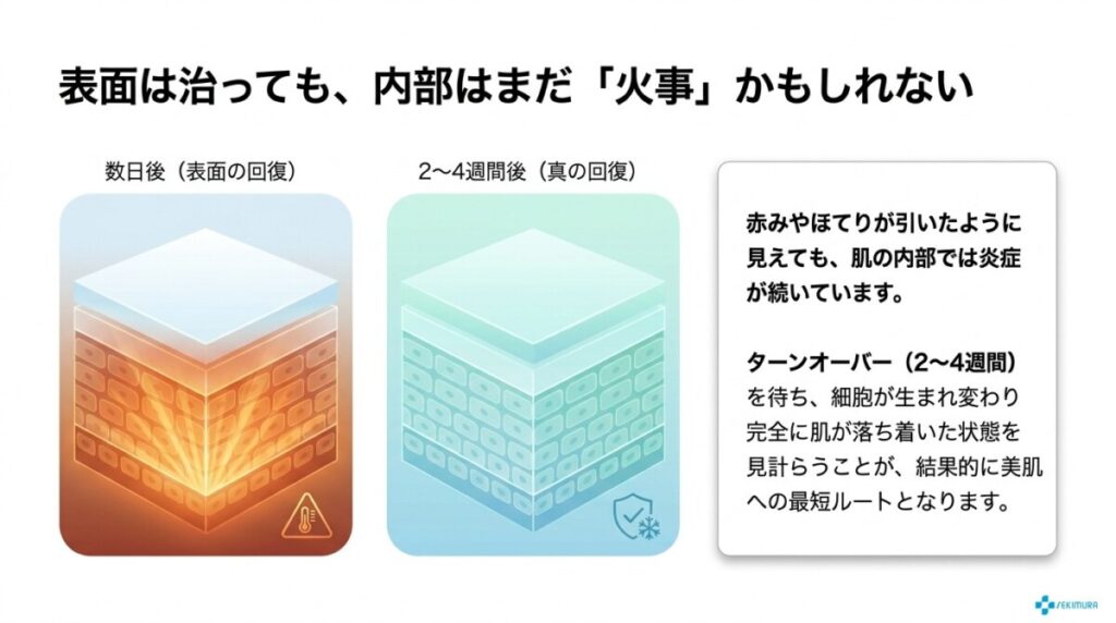 安全を確保する推奨間隔の目安と肌のターンオーバー