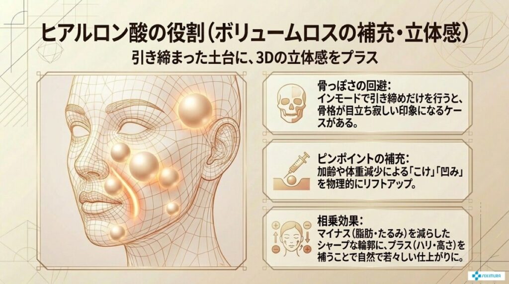 ヒアルロン酸の役割（ボリュームロスの補充・立体感形成）