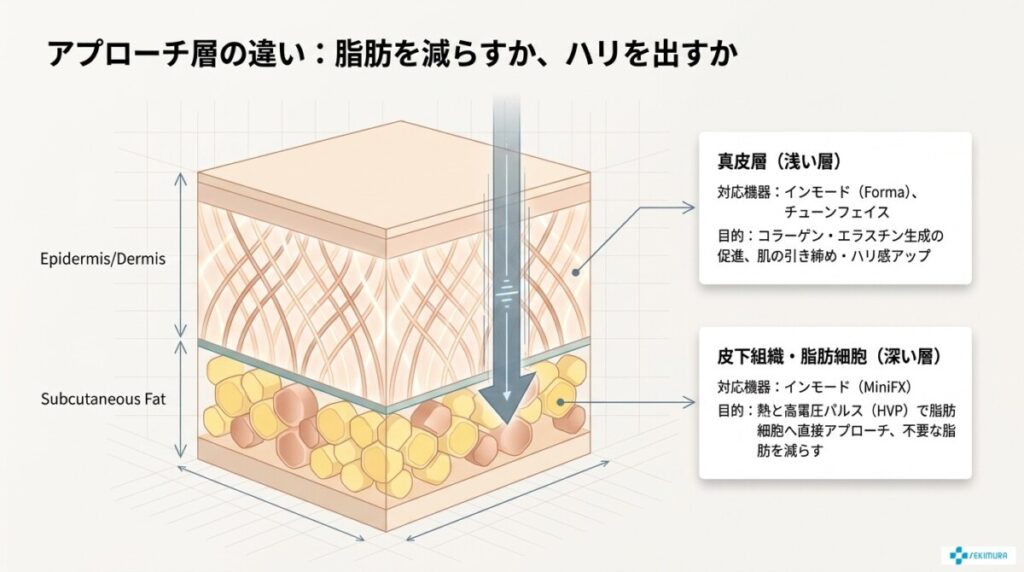 アプローチ層の違い(脂肪を減らすか、ハリを出すか)