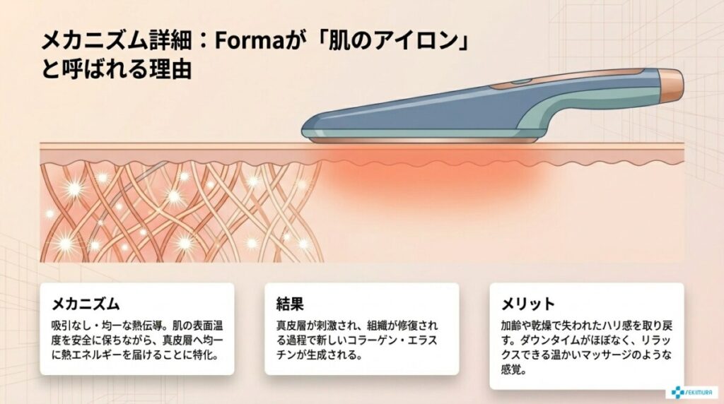 コラーゲン生成を促す「Forma」の特徴