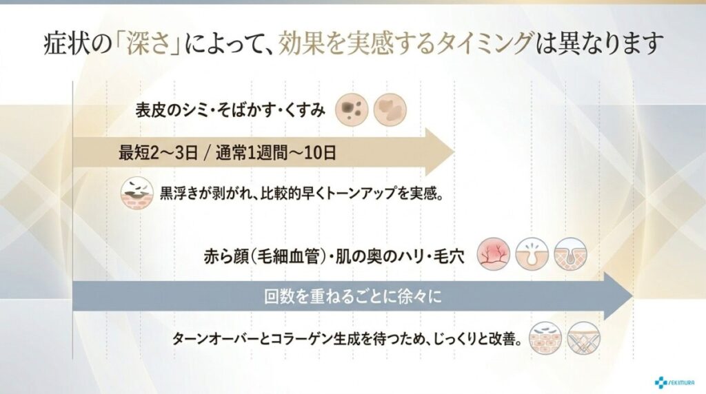 ステラM22の症状別の効果が出る時期について解説した図解。