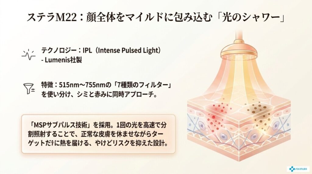 ステラM22の特徴を解説した図解。