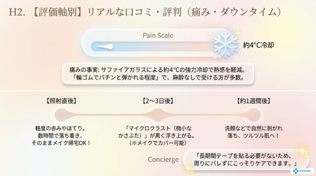 【評価軸別】ステラM22（フォトダブル）のリアルな口コミ・評判傾向