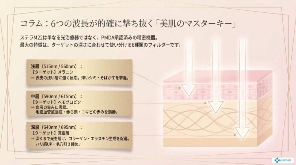 コラム:ステラM22の本来のスペックとは?ルミナス社公式仕様の一次情報