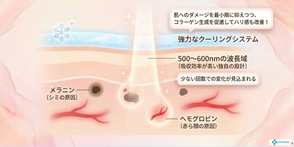 ルメッカの基本知識と効果（InMode社製）